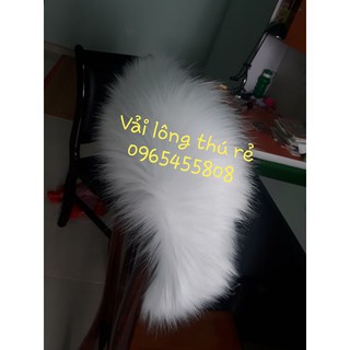 Viền lông mũ - lông xịn