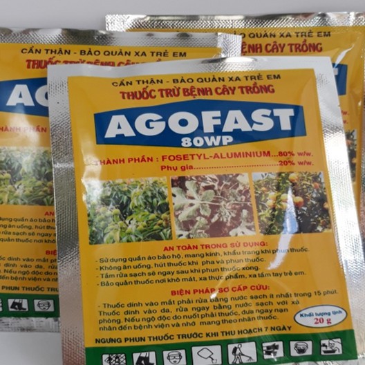 Thuốc trừ bệnh lưu dẫn Agofast 80WP 100g trị nứt thân, xì mủ, loét sẹo