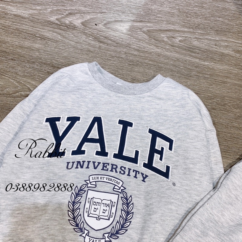 Bộ nỉ Primark Yale
