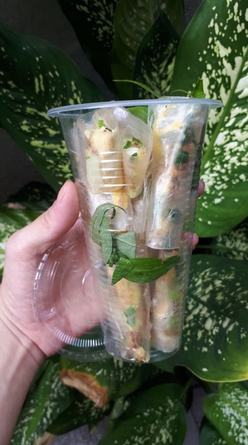 [Mã GROXUAN1 giảm 8% đơn 150K] Bánh tráng phơi sương đặc sản Gò Dầu Tây Ninh | BigBuy360 - bigbuy360.vn