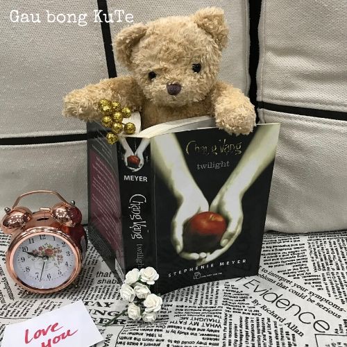 Gấu bông Teddy