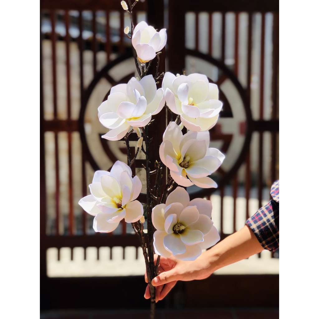 Mộc Lan đại sẵn 5 màu cành cao 1m3 cắm bình hoa trang trí sang trọng và lịch sự