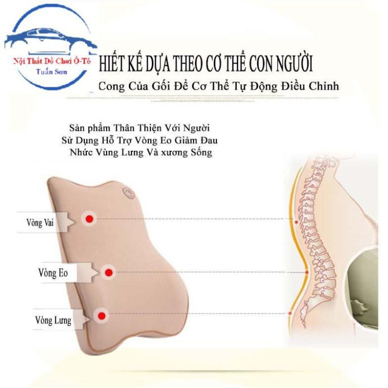 Sản phẩm Tựa  lưng cao su non cao cấp