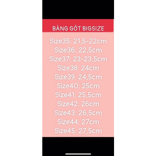 Gót tết Rít bảng vừa coá big size 35-45