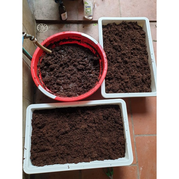 5kg mụn xơ dừa đã qua xử lý đóng bánh (ngâm nở đc 70lít)- hàng xuất khẩu, giá thể ươm trồng rau, cây cảnh