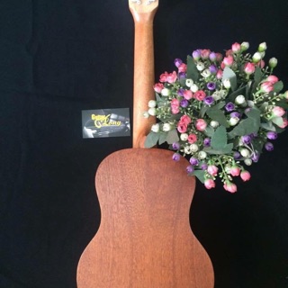 Đàn Ukulele Tenor MHĐ KLM CB2