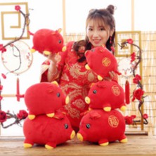 xxirystore.vn