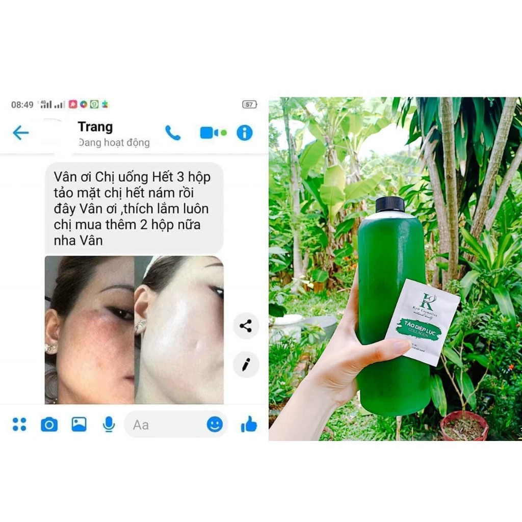 [Tặng kèm bình nước thuỷ tinh ] 💝 TẢO DIỆP LỤC COLLAGEN [ Cam kết hàng chính hãng] | WebRaoVat - webraovat.net.vn