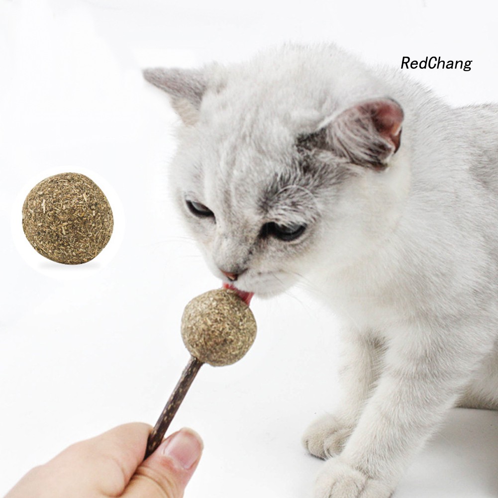 Que bạc hà khô hình kẹo mút làm sạch răng dành cho mèo
