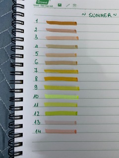 [Gam mùa hạ] bút nét thanh đậm Crayola