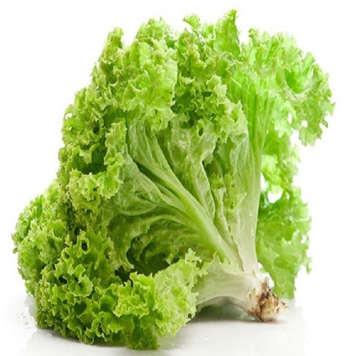 HẠT GIỐNG XÀ LÁCH XOĂN - GÓI 5 GRAM