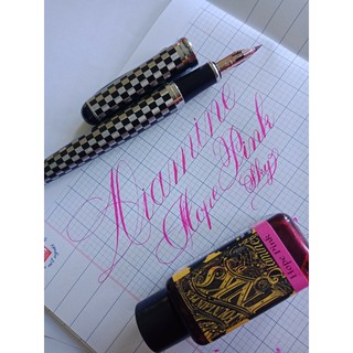 Mực bút máy Diamine 30ml