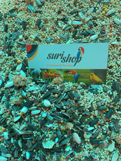 Hạt trộn dành cho Vẹt size nhỏ 70k/kg