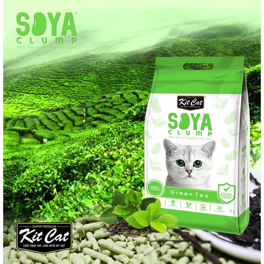 Cát đậu nành cho mèo - Kitcat soya hương trà xanh