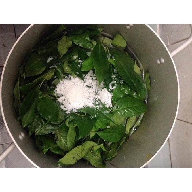 LÁ CHÈ XANH thái nguyên ( LÁ GIÀ TƯƠI) 1kg , Uống giải nhiệt, tắm trẻ em, khử trùng | BigBuy360 - bigbuy360.vn