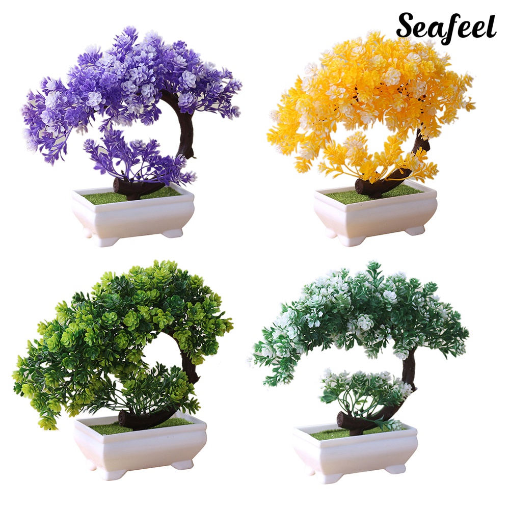 Chậu Cây Bonsai Giả Trang Trí Bàn