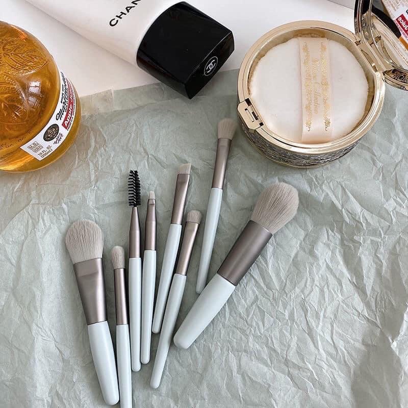 Bộ cọ 8 cây siêu dày