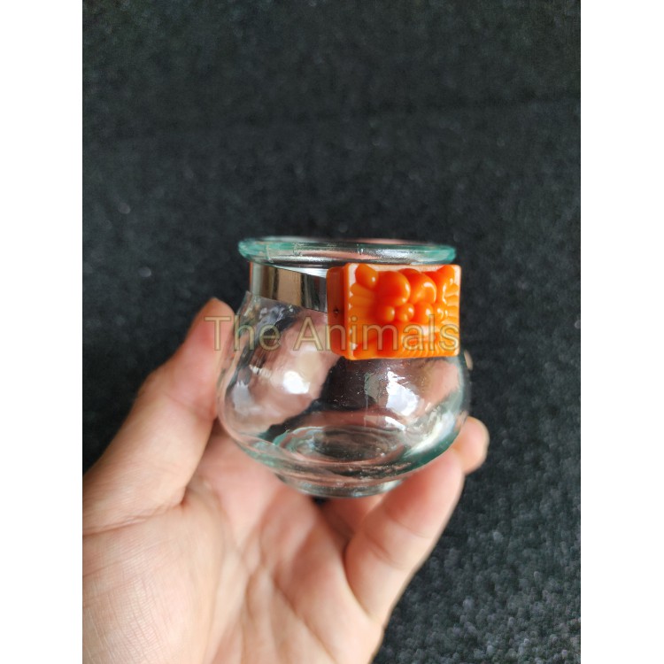 Cóng uống nước cho chim chào mào, chim khướu (thủy tinh tai cam)