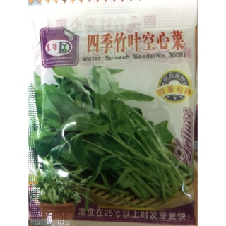 hạt giống rau muống siêu ngọn gói mini nhập khẩu đài loan nguyên bao bì
