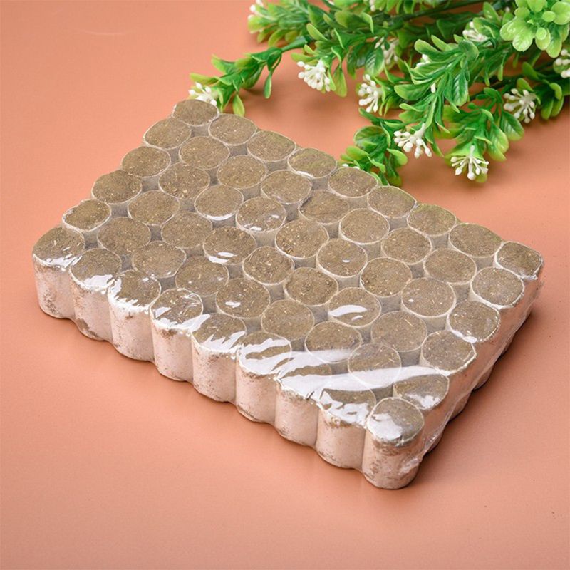 Thiết Bị Truyền Khói Bằng Thép Không Gỉ