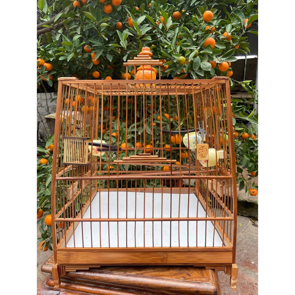 Khung lồng chim chào mào thái đấu, vuống đấu HM trúc già cật vàng đã qua xử lý màu KL02