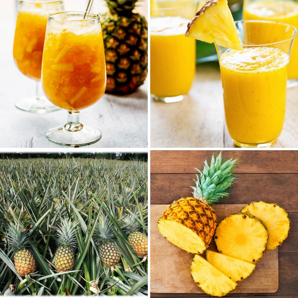 Smoothie Dứa Pineapple làm trà trái cây, đá xay, soda thay thế Sinh tố Syrup Siro Puree - JUPITER