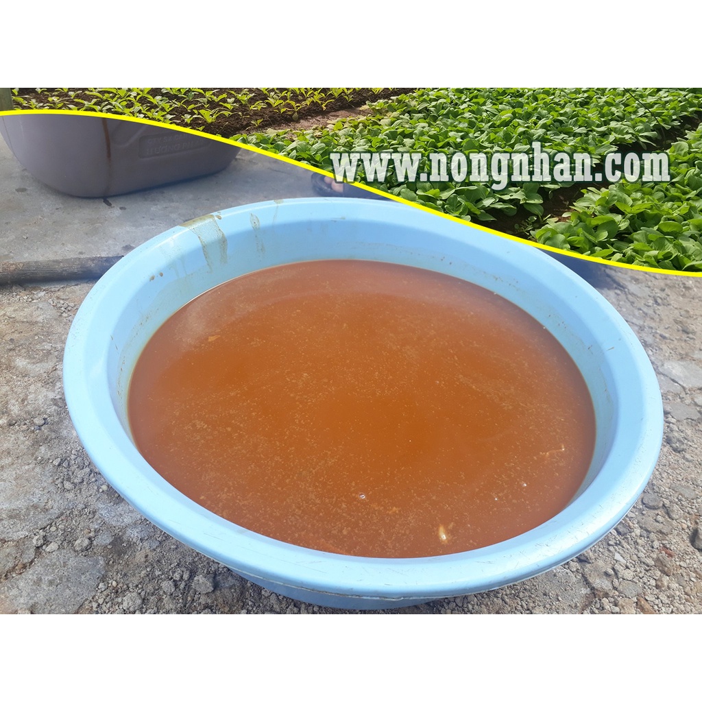 Phân đạm cá Panga TC  - phân cá hữu cơ cho rau sạch, hoa hồng, dâu tây, cây cảnh, cây ăn trái