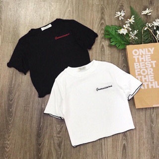 ÁO CROPTOP CUỐN BIÊN GUM