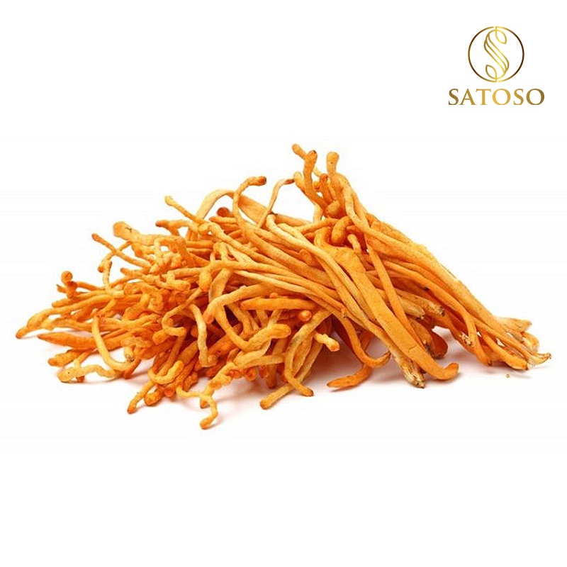 Đông trùng hạ thảo SATOSO 10g sấy thăng hoa SA002