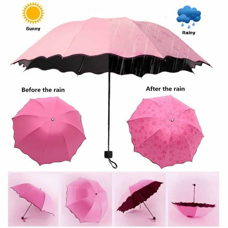 Ô dù nở hoa khi gặp nước, chống tia UV