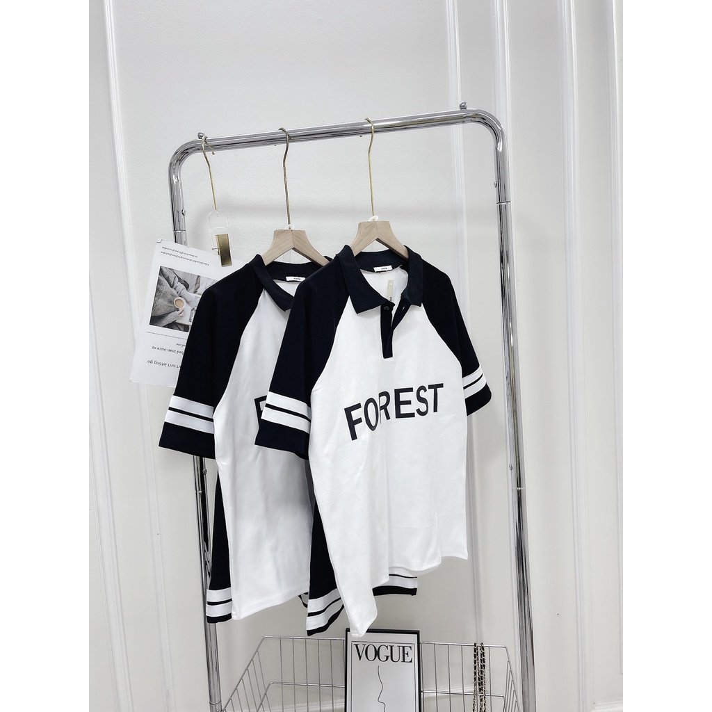 Bộ đùi len tăm FOREST cổ sơ mi quần short đùi DN135