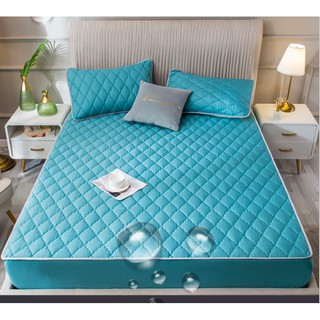 Ga Chống Thấm Cotton Cao Cấp + Gối
