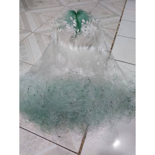 Lưới 1 màn giăng bắt Cá Rô, Cá Sặc, Cá Lòng Tong