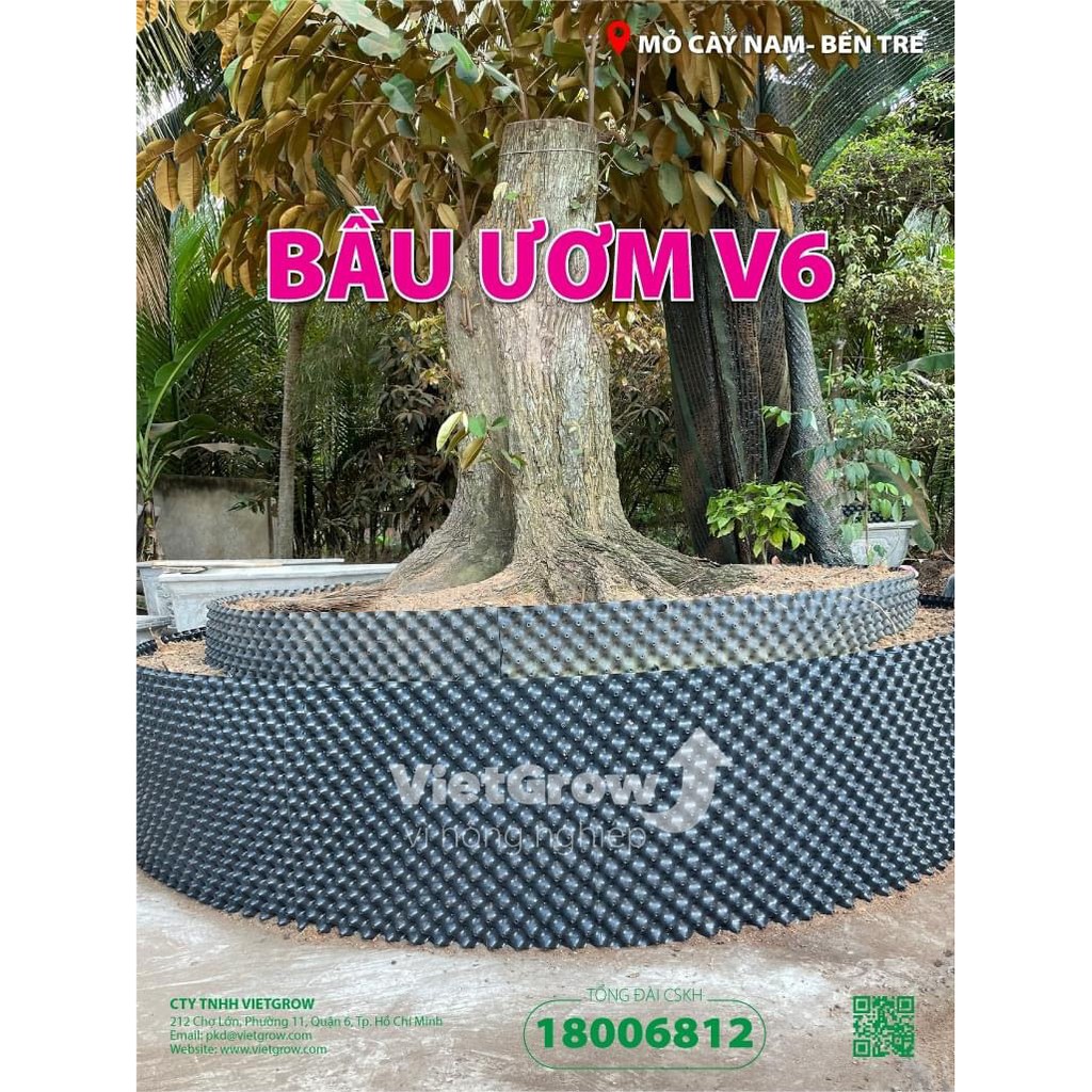 (Cao 30cm) Bầu ươm cây v6 (cắt tấm dài theo số lượng đặt, có sẵn ốc vít)