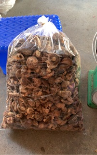 Nấm Hương quê 100g
