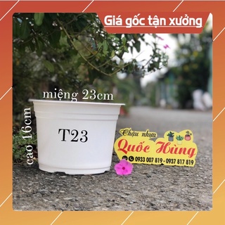 [ Sỉ từ 30 cái ] chậu nhựa trắng (23 x 16cm)trồng xương rồng- sen đá- cây mini