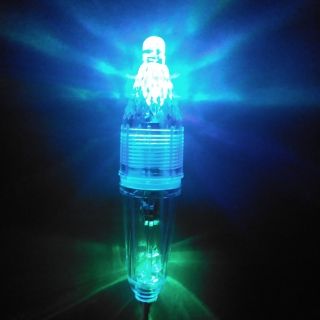 Đèn câu mực phát sáng 2 led