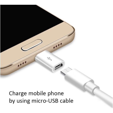 Đầu Chuyển Đổi Micro USB Cái Sang Type-C Đực Đầy Tiện Lợi