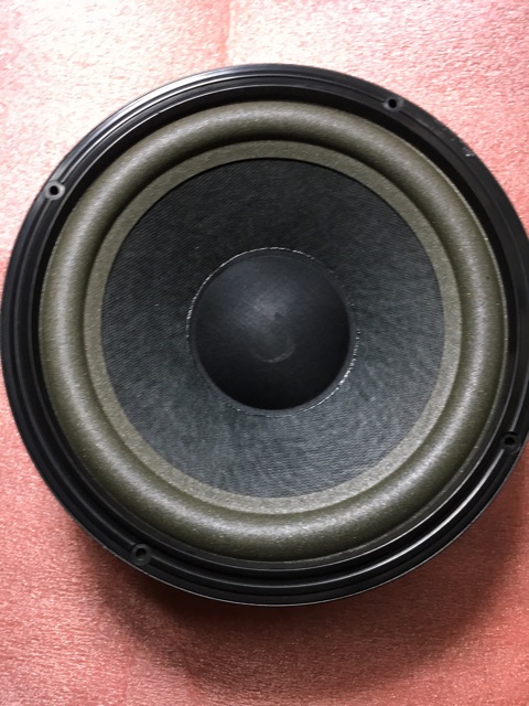 Loa Bass 20 Bose 301 Seri 4.Giá 2 Chiếc.