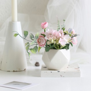 Chậu sứ trắng hoa phối