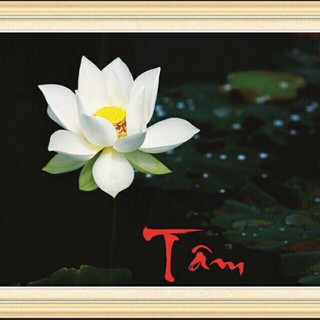 Tranh Đính Đá TÂM -HOA SEN(88700)64×50cm Chưa Đính.
