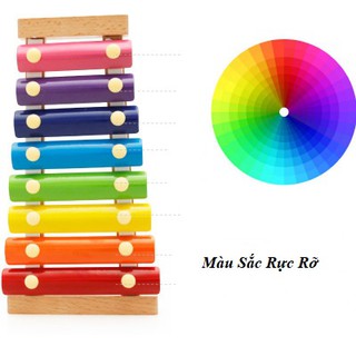 Đồ Chơi Đàn Xylophone Mô Hình Cho Bé