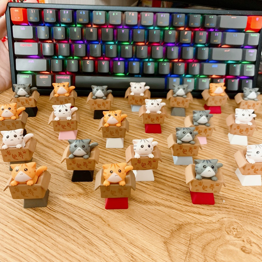 Keycap lẻ hình Mèo Con Trong Hộp ( Cat in Box ) siêu dễ thương R4 cao cấp