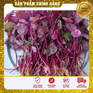 Hạt Giống Rau Dền Đỏ (50gr)