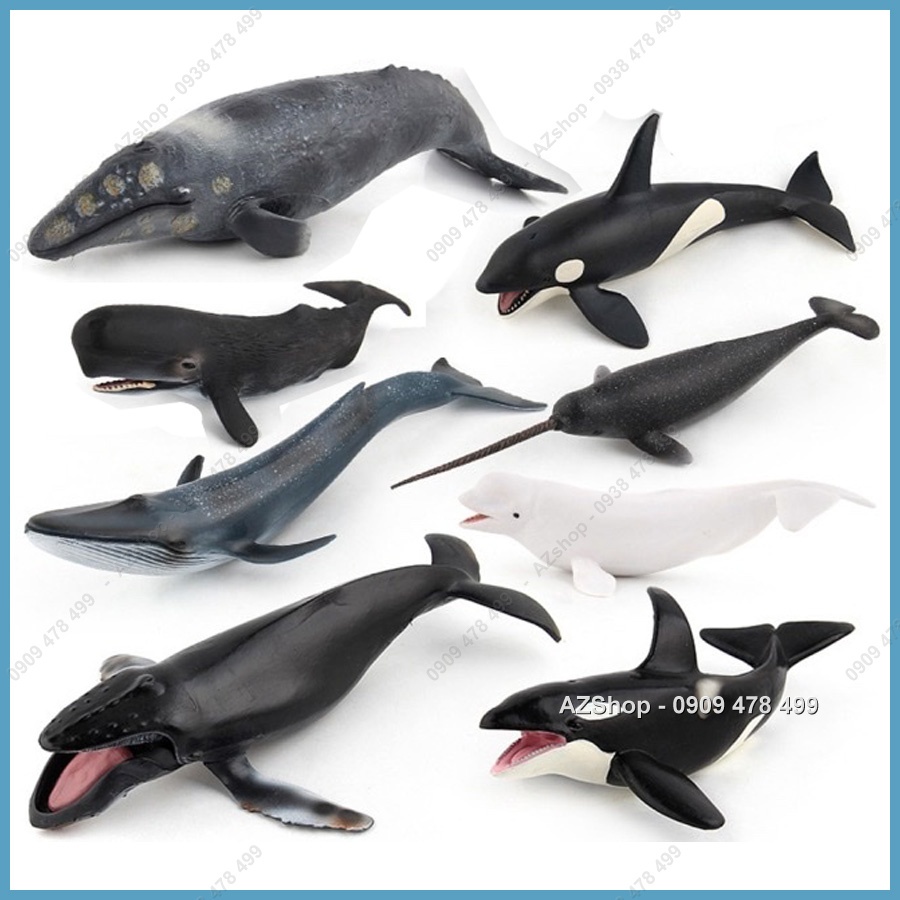Mô Hình Họ Hàng Nhà Cá Voi Đại Dương - Dài 20-28cm