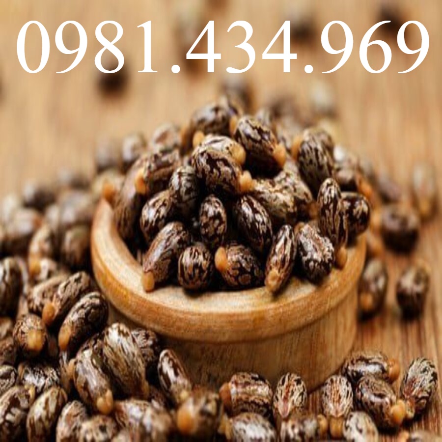 Hạt Thầu Dầu Khô 01KG Đắp Tr ị Tr ĩ Hay Loại 01