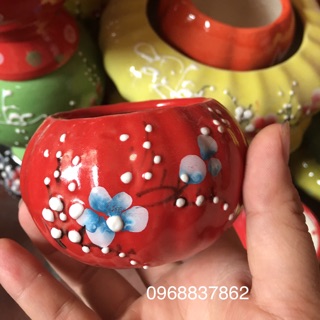 Chậu decor trồng cây mini