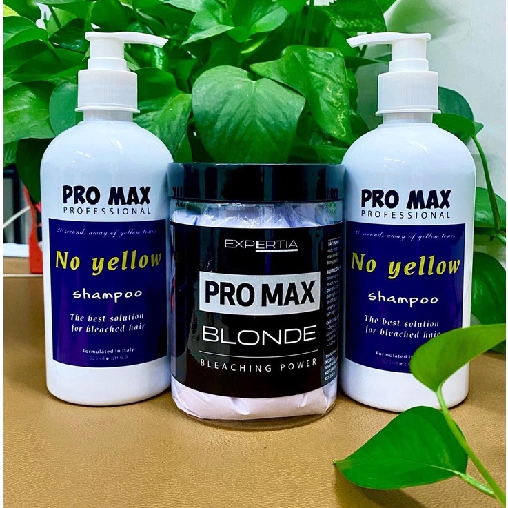 Combo Thuốc tẩy tóc, Bột tẩy tóc ProMax và Dầu gội tím ProMax siêu khử vàng - Shop Hair