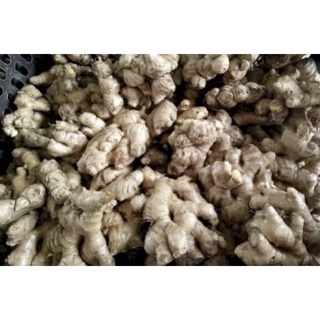 1KG GỪNG TƯƠI LÂM ĐỒNG (GỪNG DÉ GIÀ) vui lòng đọc kĩ phần mô tả