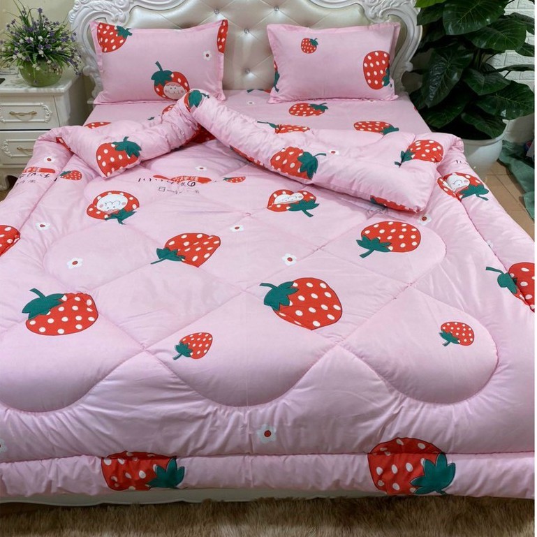 Bộ 5 món Chăn Phao Ga Gối Poly trần bông chăn phao ấm áp cho mùa đông